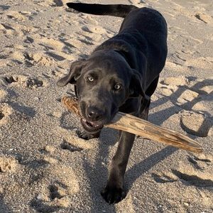 Meet your Posher, Kevin